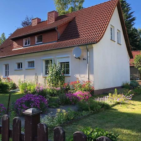 Sommerhaus Boldevitz Auf Ruegen Zewnętrze zdjęcie