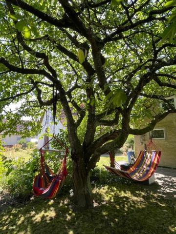 Sommerhaus Boldevitz Auf Ruegen Zewnętrze zdjęcie